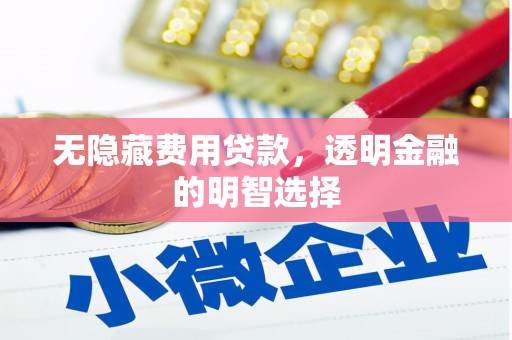 坦洲无隐藏费用贷款，透明金融的明智选择