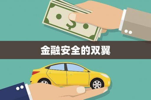 米易金融安全的双翼