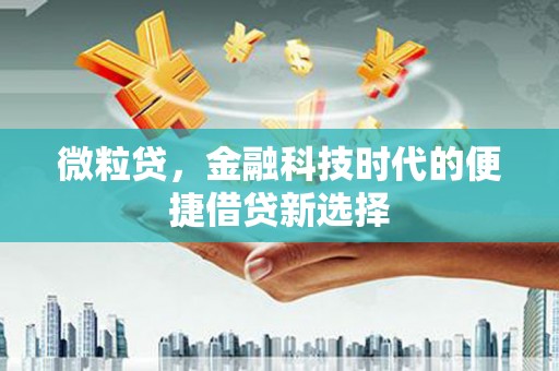 宁都微粒贷，金融科技时代的便捷借贷新选择