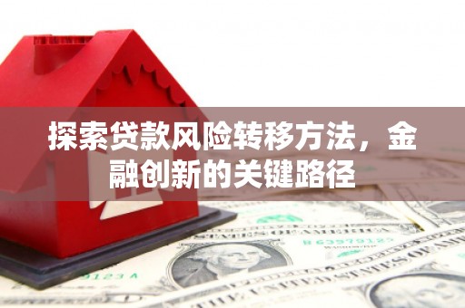 务川探索贷款风险转移方法，金融创新的关键路径