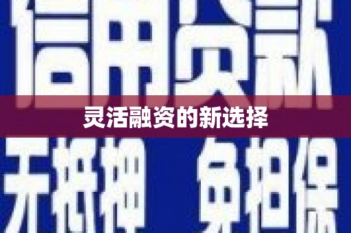 灌阳灵活融资的新选择