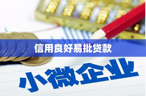 宁陕信用良好易批贷款