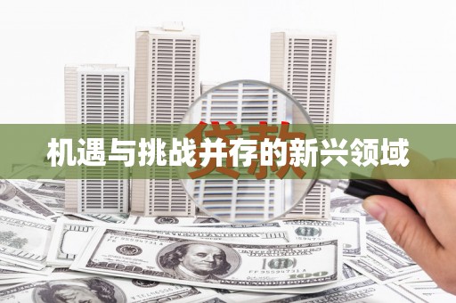 桐城机遇与挑战并存的新兴领域