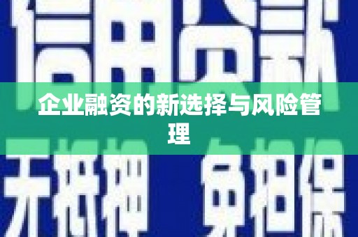 中区企业融资的新选择与风险管理