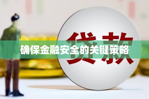 林甸确保金融安全的关键策略