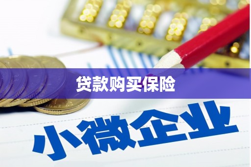 张湾贷款购买保险