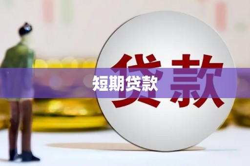 金水短期贷款